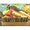 MAAJ Vegetable Brush Hard Mini Hard Union Bristles + Wood