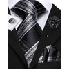 Hi-Tie Black Grey Mens Ties and Flower Lapel Pin Set