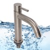 Kitchen Faucet Single Hole Stainless Steel Single Cold Sink Faucet
