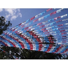 Generic 60 Ft.Metallic Fringe Pennant Red,Blue,Silver Auto Dealer Supplies Car Lot Dealership Patriotic