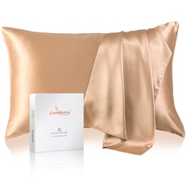 LOOMBERRY 100% Pure Mulberry Silk Pillowcase for Hair and Skin, 6A Grade 22 Momme Silk Pillow Cases with Zipper, Soft Cooling Washable Both Sided Silk Pillow Cover (Champagne, Standard 20''x26’’)