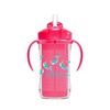 Dr Brown's Insulated Straw Cup for Girl, 300ml