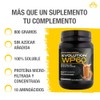 EVOLUTION, Protena de Suero de Leche, WP60, Whey Protein, 18
