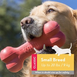 KONG - Goodie Bone - Durable Rubber Chew Bone, Treat Dispensing Dog Toy - for Small Dogs