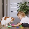 DGUSO 42Pcs Giocattoli a Molla e Tubo Colorati per Gatti
