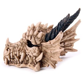 Puckator DRG186 Dragon Skull Money Box 19 x 11 x 11 cm, Mixed, Height 11cm Width 11cm Length 19cm Slot 3.5cm