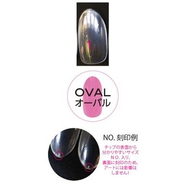 エリコネイル プロフェッショナル クリアチップ サイズ別チップ50枚入り EROVB-1