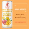 ELEPHANT WORLD 100% Natural Juices | Assorted Superfruits | Soursop-Mango-Guava-Lychee