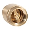 One Way Brass Check Valve, 1" NPT male in/ 1"