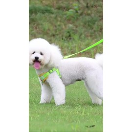 Pechera Arnés Para Perro Regulable Con Bandas Reflectivas