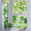 11 Pegatinas Anticolisión para Ventanas, Protección contra Pájaros, Decoración de