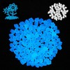 Pack of 300 Luminous Stones Garden in the Dark, Fluorescent