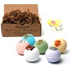 Organic Bath Bombs Gift Set for Women - All Natural