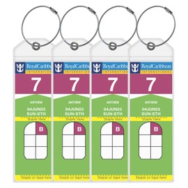 Royal Caribbean and Celebrity Cruise Luggage Tag Holders [4 Pack] – Waterproof, Durable Plastic with Steel Loops – Fits All Royal Caribbean and Celebrity Ships for Cruising in 2024, 2025 and 2026