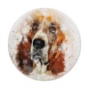 Basset Hound, Dog, Puppy, Pet, Doggie, Pup, Pop-Socket