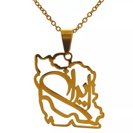 Asoodehdelan Iranian Persian Iran Flag Map Necklace Chain Iranian Persian Gift Farvahar  - Gold Plated, Leather Cord