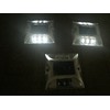 Solar LED Light, Steady On, Waterproof, Road Tack, Automatic Night