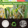12oz Paper Sugarcane Disposable Bowls for Salads, Dessert and Cereals-