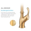 FLG Single Hole Hot Cold Water Mixer Sink Pull Out