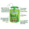 GoGo squeeZ Fruit on the Go, Apple Cinnamon, 3.2 oz.