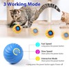 Tuiskusa Interactive Cat Toys, Fast Rolling Ball in Play Pocket,