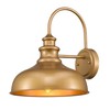 zeyu Modern Barn Lighting, 11 inches Gooseneck Light Fixture Indoor