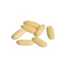 Golden Health Royal Jelly 1600mg 6% 10 HDA 100 Capsules