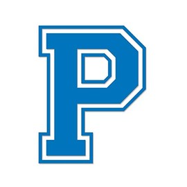 Applicable Pun Varsity Letter P - Vinyl Decal for Outdoor Use on Cars, ATV, Boats, Windows and More - Sky Blue 8 Inches Tall