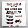 Stickersland | Sticker Set Compatible with Triumph Frame Fairings (White