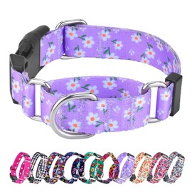 Hikiko Collar para Perros Martingale, Collar para Perros de Nylon Suave Ajustable, con un patrón Encantador de diseño Especial para Perros pequeños, medianos y Grandes