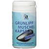 Avitale Green-Lipped Mussel Vegi Capsules Pack of 60 – Pack