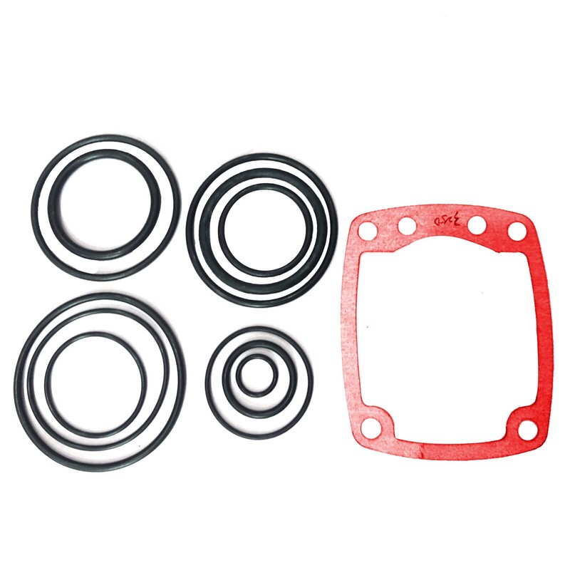 3250-F16 Rebuild Kit Compatible with Paslode 3250 F16 403700 O-Ring