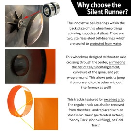 Silent Runner 12" Regular Wheel + Sandy Track + Cage Attachment - Pet Exercise Wheel Package Set - for Sugar Gliders, Female Rats, Hamsters, Mice and Other Small Pets