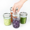 Artcome 4-Pack Glass Fermentation Weights with Easy Grip Handle and