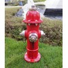 Fire Hydrant Garden Statue for Dogs to Pee On,Puppy Pee