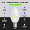 Feit Electric C7 Indoor LED Night Light Bulbs, 7W Equivalent,