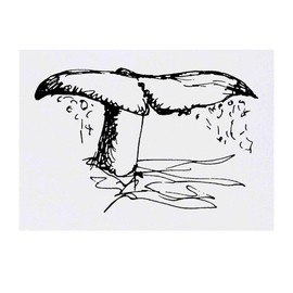 'Whale Tail' Temporary Tattoo - Water Resistant, Skin-Safe, Non-Toxic Transfer (TO00019124)