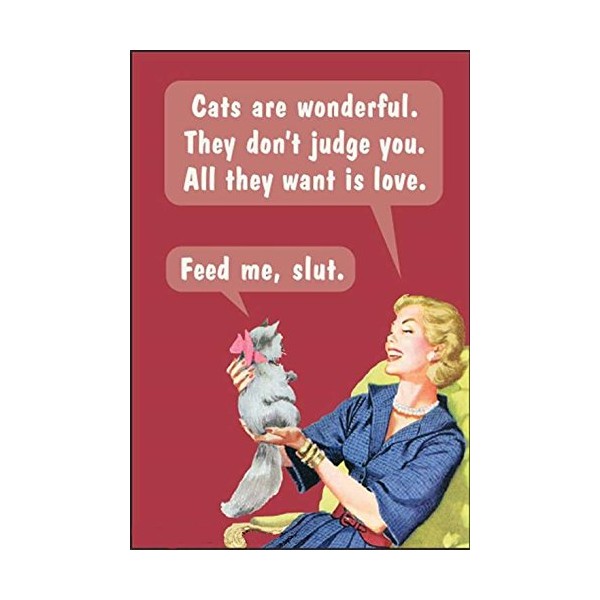 Cats Are Wonderful. They Don't Judge You.... funny fridge magnet (ep)