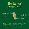 BESTVITE Filler-Free Relora 250mg (120 Vegetarian Capsules) – Clinically Researched