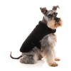 FuzzYard Black Teddy Dog Wrap Vest (2)