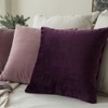 MIULEE Pack of 2 Velvet Soft Solid Decorative Square Throw