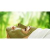 Green Bear Natural Genuine Traditional Aleppo Liquid Soap - Olive