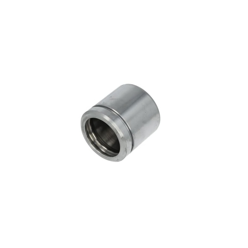 Autofren Seinsa D025107 Brake Caliper Piston
