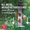 Perky-Pet 336-1SR Squirrel-Be-Gone Bird Feeder, 2LB Squirrel Proof Outdoor Wild