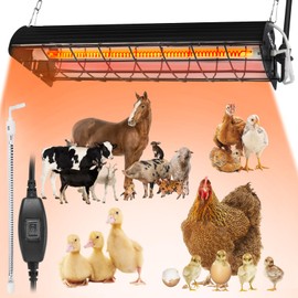 400W Heat Lamp for 60 Chickens Upgraded 12000H Large Chicken Coop Brooder Heater Carbon Fiber Bulb Waterproof Adjustable 2 Mode Temp Safe Design for Chicks Poultry Pets (Large)