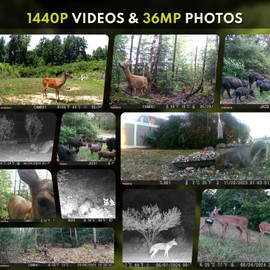 WOSPORTS Mini Trail Camera 1440P 36MP,Game Camera with Night Vision 0.2s Trigger Time Motion Activated Waterproof 120° Wide-Angle Hunting Cam for Wildlife Monitoring Card Reader with 32GB SD Card