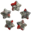 Nupuyai 5pcs Africa Bloodstone Carved Crystal Star Statue Pocket Worry