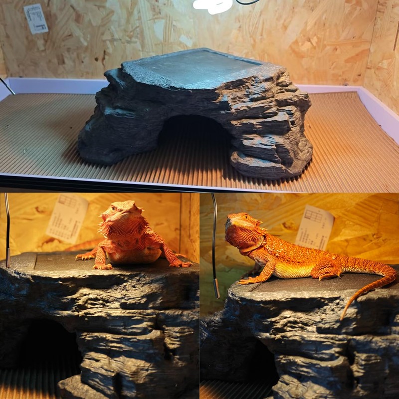X-Large Bearded Dragon Basking Platform, Lizard, Snake or Reptile Hide