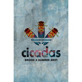  Vitamin & Supplements Tracker: Cicada Summer Brood X Magicicada 202 USA