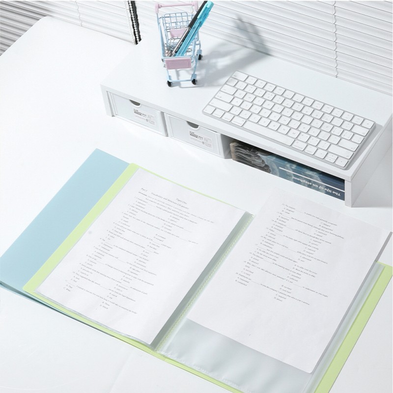 Delhi Recycle Lone Green Deli Index Clear File 40 Sheets